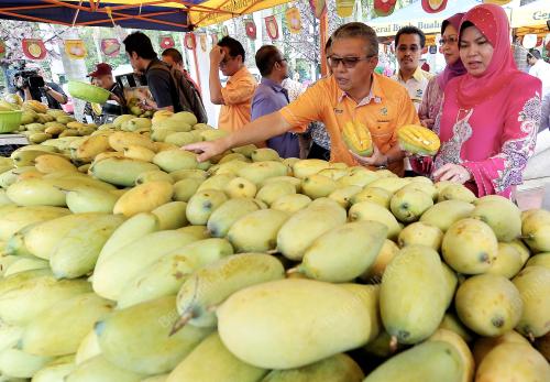 KL08_02052014_MANGGA