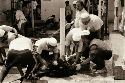 HARI RAYA QURBAN DI KAMPUNG BARU