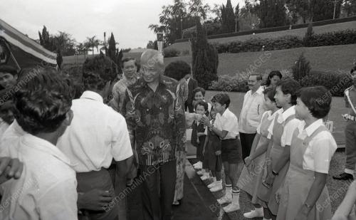 JAMUAN TEH