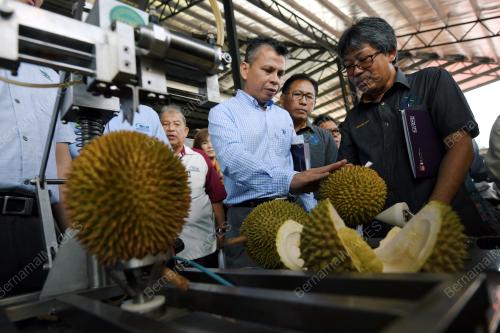 KL08_04082018_DURIAN_BN