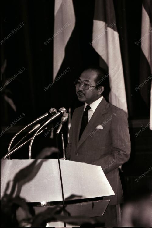 TENGKU TAN SRI RAZALEIGH HAMZAH
