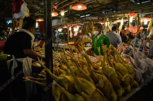 TINJAUAN AYAM MENTAH PASAR CHOW KIT