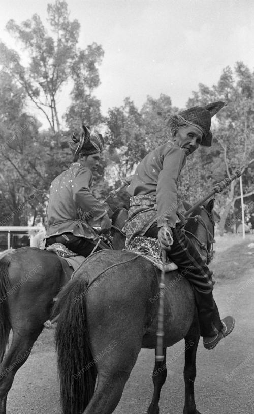 BAJAU HORSEMAN