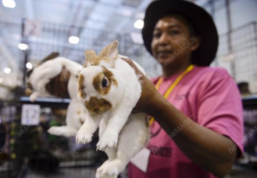 KL08_07102018_PET_EXPO