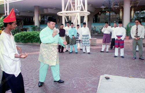 TUANKU SYED SIRAJUDDIN SYED JAMALULLAIL