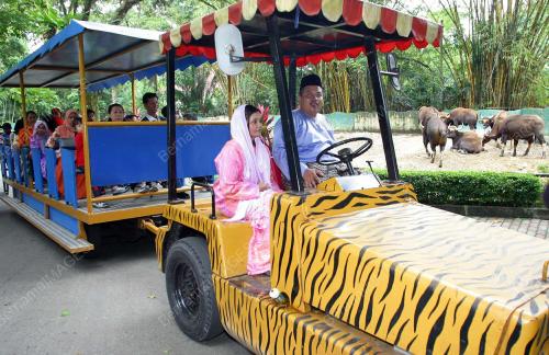FIRST WEDDING AT NATIONAL ZOO