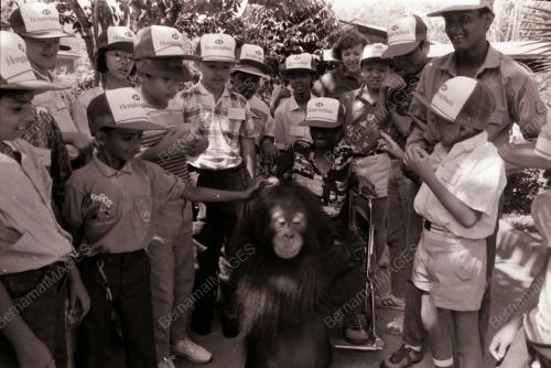MASKOT HSBC