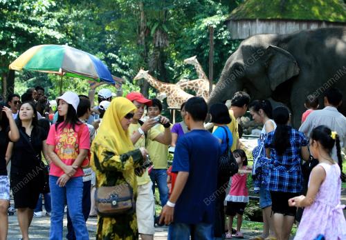 ZOO_TUMPUAN