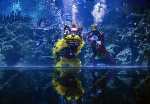 AQUARIA TAHUN BAHARU CINA