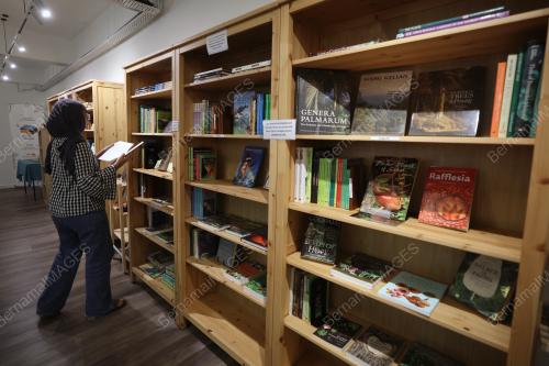 SUNDA SHELVES