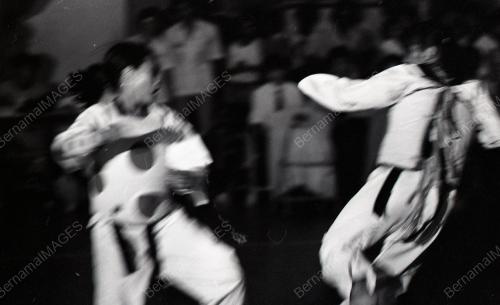 TAEKWONDO