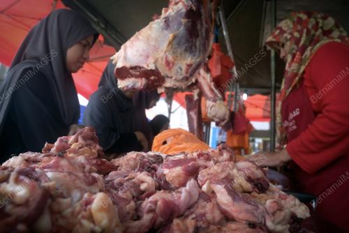 KL08_13062018_DAGING