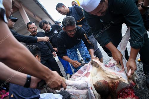 PROGRAM IBADAH KORBAN APM