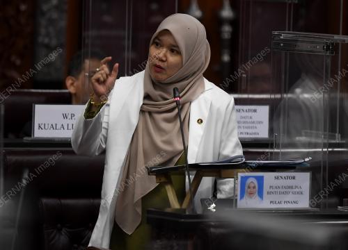 FADHLINA DATUK SIDEK