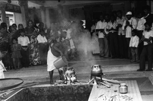 PESTA