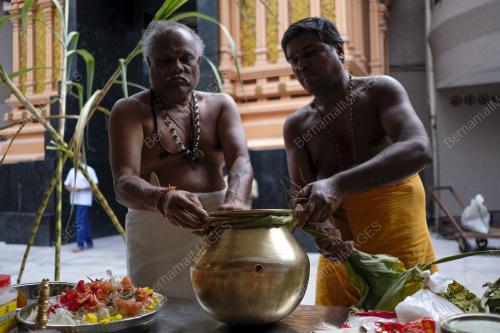 PESTA PONGGAL