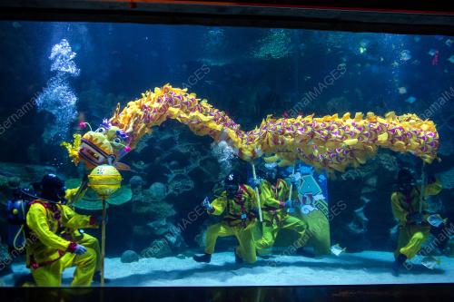 TARIAN NAGA AQUARIA KLCC