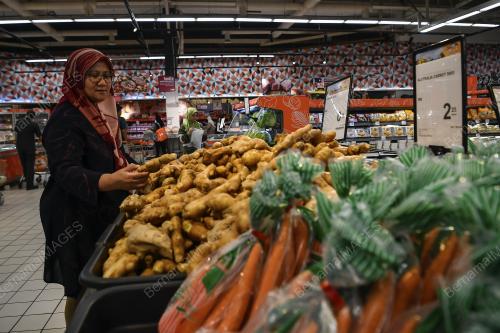 TINJAUAN MEMBELI BARANG KEPERLUAN ASAS