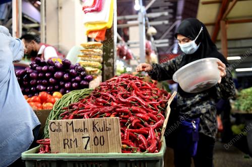 TINJAUAN HARGA CILI