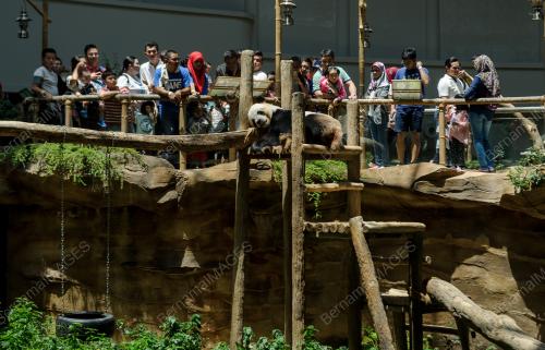 KL08_18022018_ZOO_BN201802179182