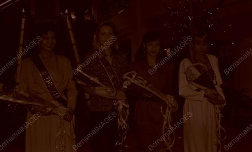 KL08_180390_WONDERLAND
