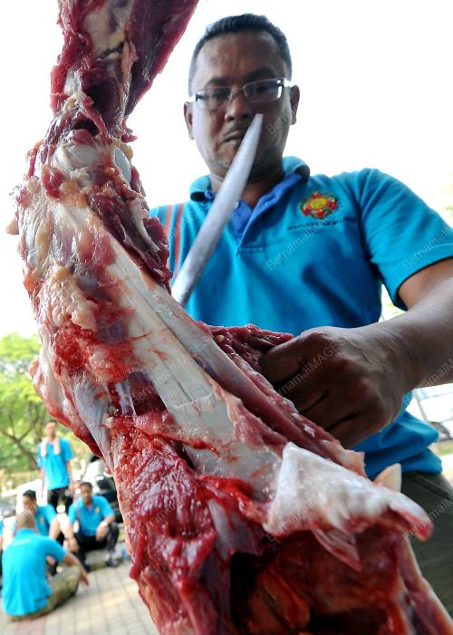 KL08_18102013_KORBAN