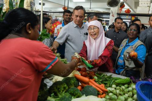 DATUK SERI DR WAN AZIZAH WAN ISMAIL