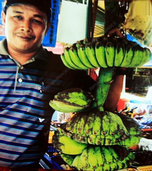 PISANG KEMBAR SETANDAN