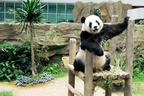 KL08_20092015_ZOO