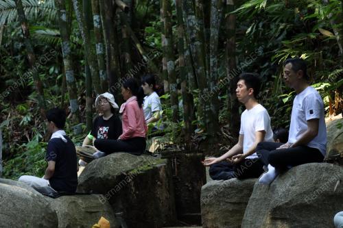TERAPI HUTAN