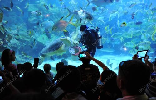 KL08_21082012_AQUARIA