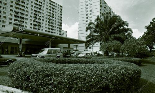 KL08_220690_BUNGA