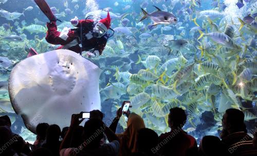 KL08_22122012_AQUARIA