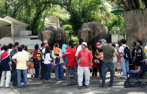 ZOO NEGARA