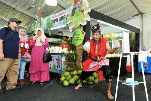 KL08_23112018_KELAPA