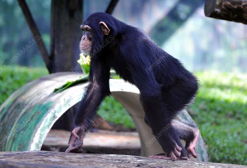 KL08_24072016_ZOO