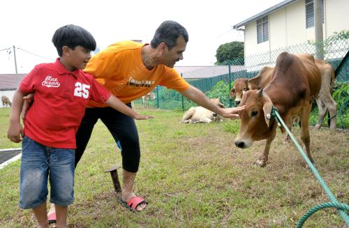 KL08_25102012_LEMBU_KORBAN