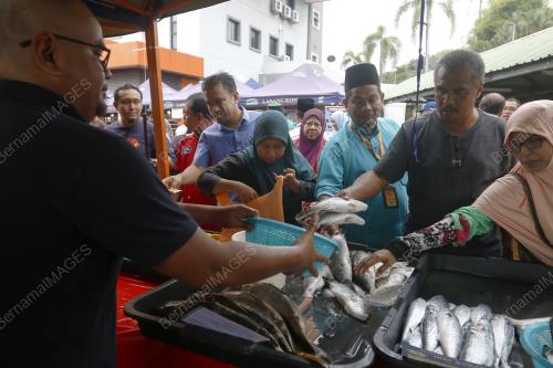 KL08_25102019_FAMA_BN201910245382