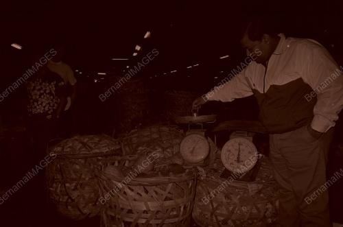 KL08_270390_PEMERIKSAAN
