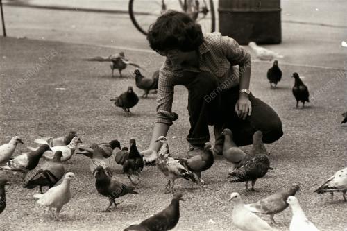 BURUNG