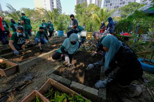 KEBUN BERNAMA