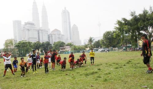 PELAPIS HARIMAU MALAYA