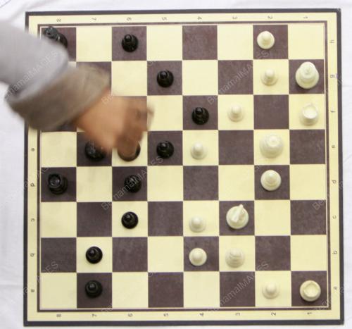 CATUR