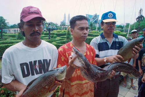 PERTANDINGAN MEMANCING
