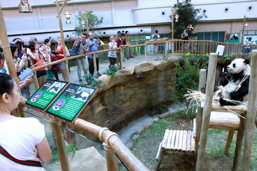 KL09_01072014_PANDA