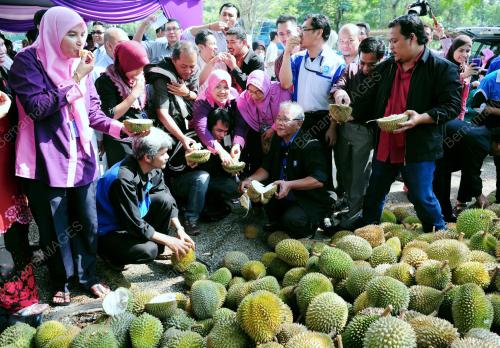 DURIAN
