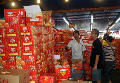 TAHUN BARU CINA