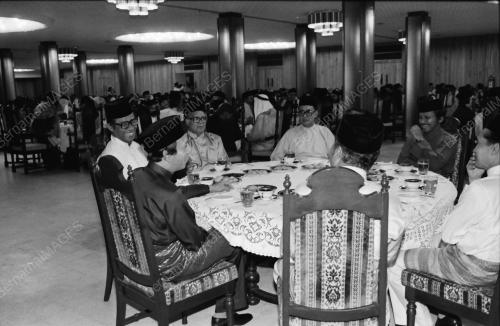 MUSA HITAM