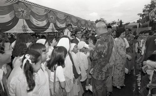 JAMUAN TEH