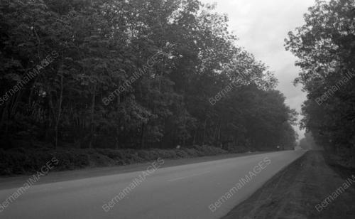 KL09_04022015_LADANG_GETAH